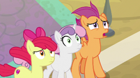 Scootaloo "me and my big grown-up mouth" S9E22