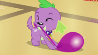 Spike playing with a balloon EG