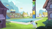 Ponyville-Schwimmwettkampf