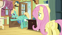 Zephyr Breeze appears at Fluttershy's door S6E11