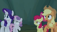 AJ, Rarity, and Crusaders hear loud buzzing outside S7E16.png (843 KB)