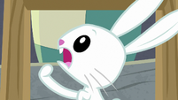 Angel Bunny pointing at his mouth S9E18