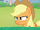 Applejack displeased S5E24.png