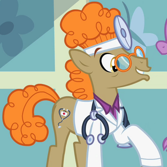 my little pony dr