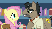 Dr. Caballeron charming Fluttershy S9E21