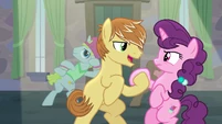 Feather Bangs holding Sugar Belle's hoof S7E8.png (906 KB)