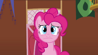 Pinkie Pie's face watching paint S3E3