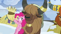 Pinkie Pie "asking for help is okay?" S7E11