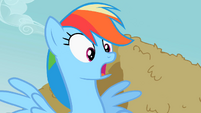 Rainbow Dash gasp realization S2E8