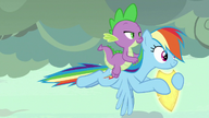 Rainbow Dash i Spike odlatują z tarczą
