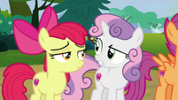 Sweetie Belle confused by Apple Bloom's claim S7E21