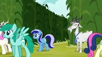 The ponies head for the seminar S2E19