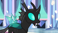 Thorax "I want to know all about friendship" S6E16