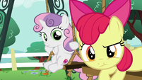 Apple Bloom and Sweetie Belle look at Scootaloo S6E4