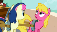 Putting Your Hoof Down