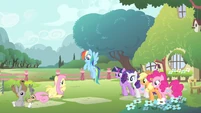 Fluttershy's friends looking at Fluttershy S4E14