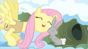 Fluttershy-Pony