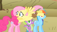 Fluttershy "Pinkie!" S1E21