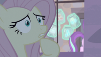 Fluttershy ''Cómo voy a recuperar las Cutie Marks ahora'' EMC-P2