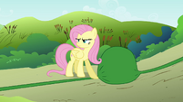 Fluttershy blocking water S2E19