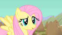 Fluttershy has a questioning look S1E19