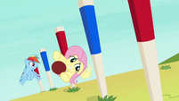 Fluttershy swerving through obstacle pegs S6E18