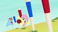 Fluttershy swerving through obstacle pegs S6E18.png (666 KB)