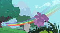 Rainbow Dash flying by some flowers S1E16