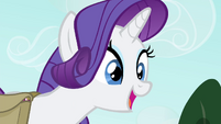 Rarity "You don't mind, do you, Spike?" S4E23