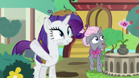 Rarity presents the new and improved garden S7E25