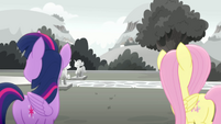 Twilight and Fluttershy don't see anything MLPRR