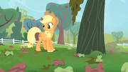 Applejack looks at the rotten apples S4E07