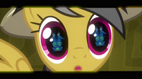 Daring Do stunned by sapphire stone S2E16