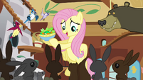 Fluttershy brings the animals food S3E13