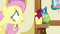 Fluttershy talking to her birds S5E21