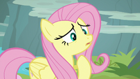 Fluttershy worried about Rarity S8E4