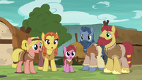 Group of island villager ponies S7E16