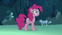 Pinkie Pie tells herself to stop talking to herself S3E3