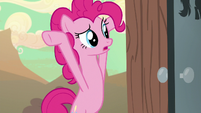 Pinkie mimicks a yak while asking Cherry about Yakyakistan S5E11