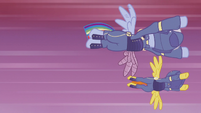 Rainbow Dash and Wonderbolts dive-bombing S5E25