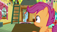 Rainbow Dash at the clubhouse entrance S8E20