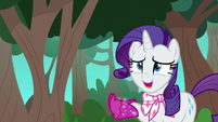 Rarity backs away from Rainbow Dash S8E17