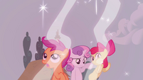 The CMC look at the force field S2E23