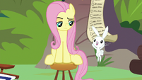 Angel jumping to get Fluttershy's attention S9E18