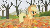 Applejack hey! S01E13