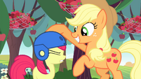 Applejack puts helmet on Apple Bloom again S4E17