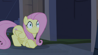 Fluttershy alone S4E03