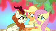 Fluttershy and Autumn Blaze shake hooves S8E23