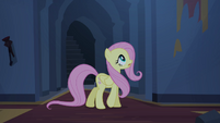 Fluttershy calls out for Angel S4E03