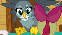 Gabby gets excited in Apple Bloom's face S6E19
